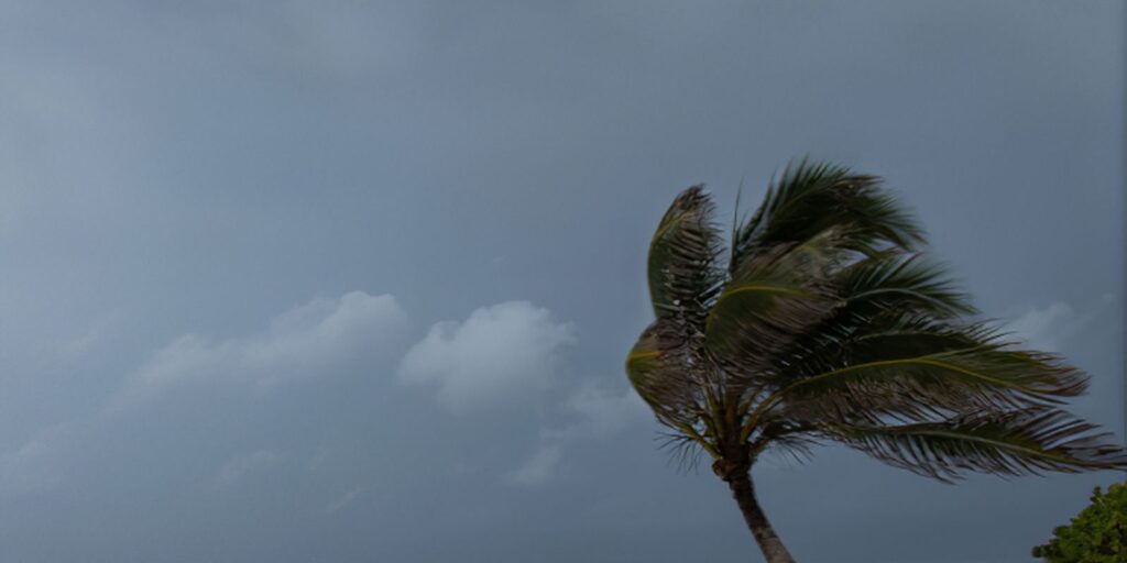 chuvas-atingem-norte,-nordeste-e-litorais-de-sul-e-sudeste-esta-semana