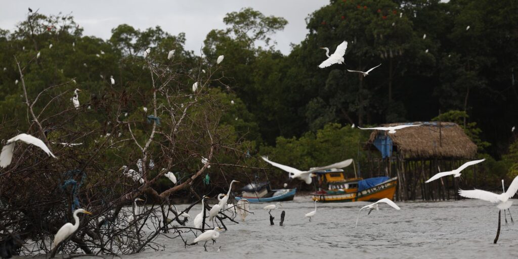 amazonia-soberana:-programa-vai-combater-crimes-em-areas-de-fronteira