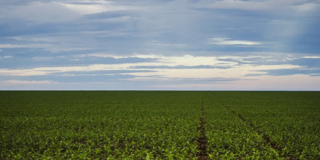 fazenda-estuda-fundo-garantidor-para-dividas-rurais