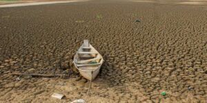 dia-da-amazonia-e-celebrado-com-el-nino-e-alerta-de-seca-intensa